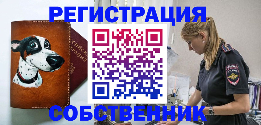 временная регистрация для школы в Барнауле